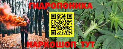 марихуана Новодвинск